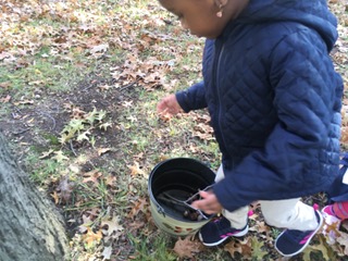 young child collecting leaves and sticks in a pail