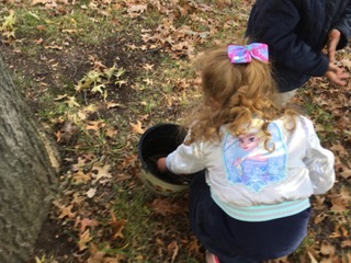 young girl collecting leaves in a bucket