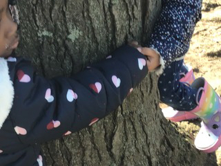 children hugging a tree