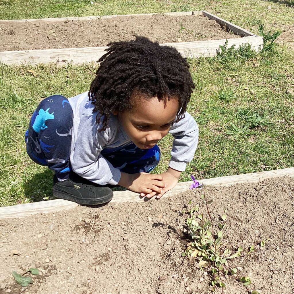 students observing plant growth.