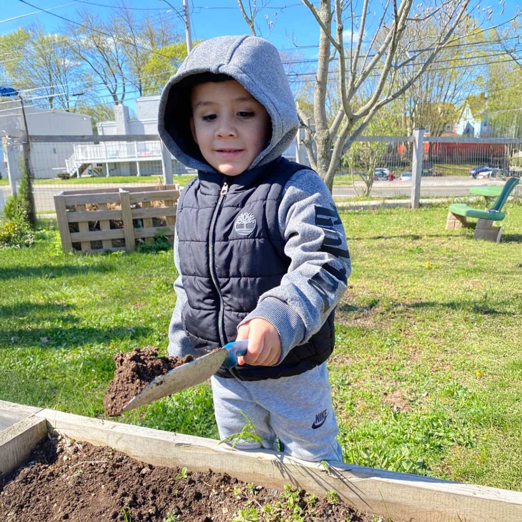 digging holes for planting