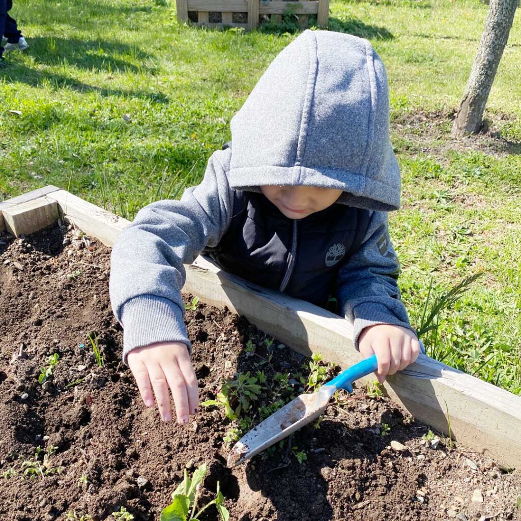 placing plants into a garden bed