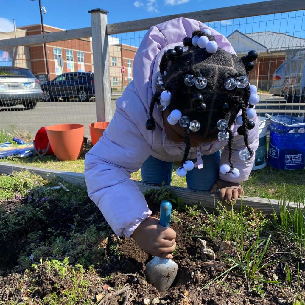 digging in our outdoor classroom garden bed