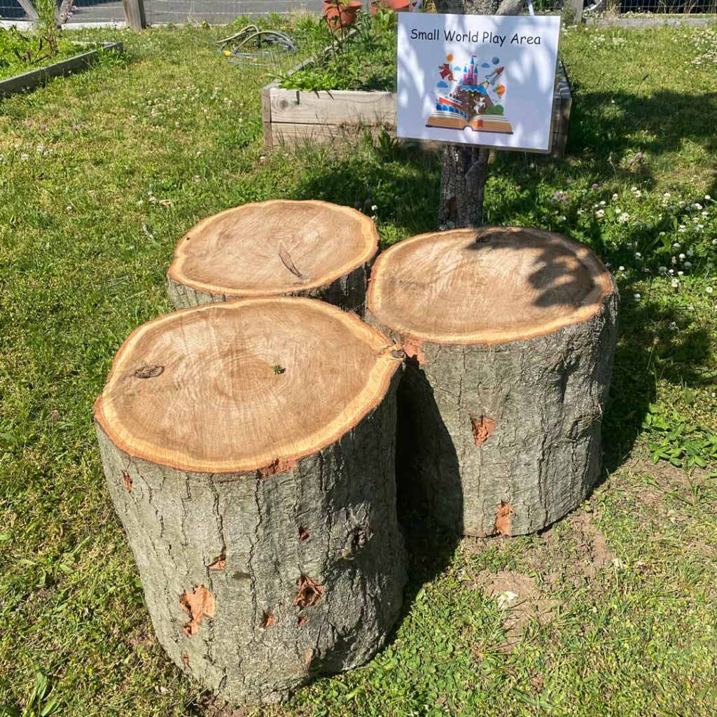 three tree stumps used for seating